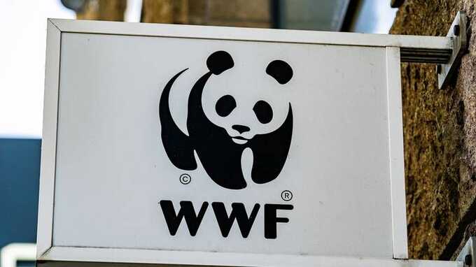 WWF            