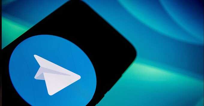 Администратора Telegram-канала «Рынок шкур» осудят за мошенничество