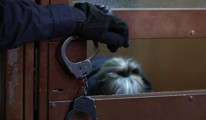 В Москве задержана ещё одна участница по делу о торговле детьми