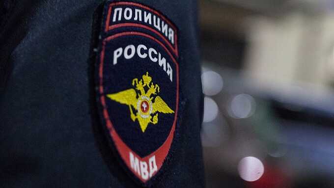 В Москве девушка-курьер помогла полиции задержать мошенника, который развёл пенсионерку