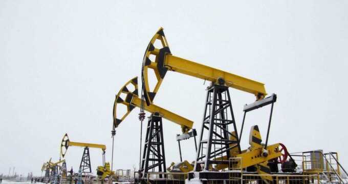 ФНС запускает новую волну банкротств нефтесервисов ХМАО и Тюмени. Под угрозой оказались сотни рабочих
