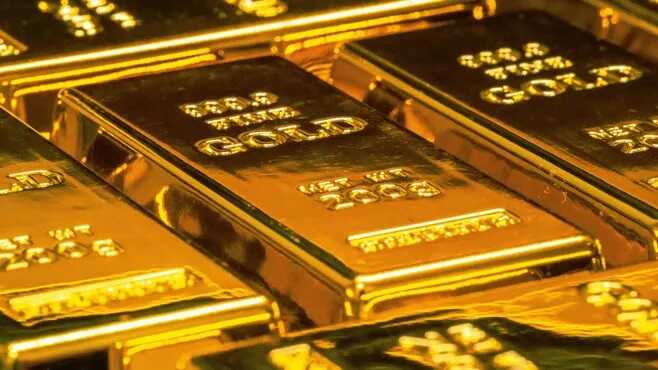 У жителя Амурской области обнаружили 10 золотых слитков на 24 миллиона рублей
