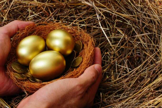Новое золото: Кто в России наваривается на яйцах