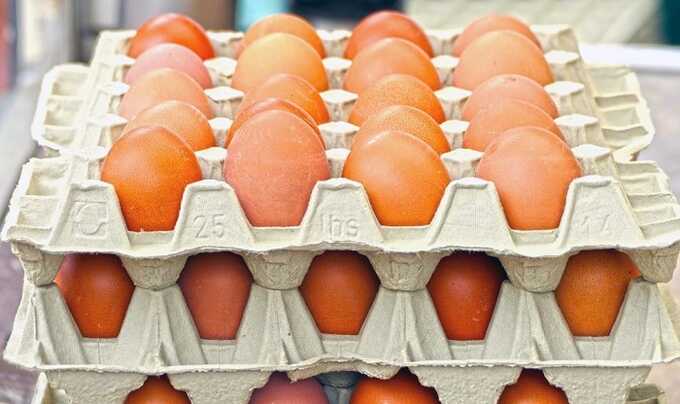Кто взвинтил цены на яйца?