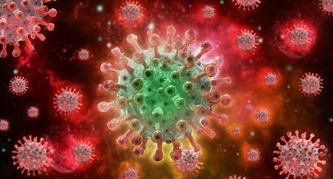 ВОЗ: в мире зафиксирована новая вспышка опасной инфекции