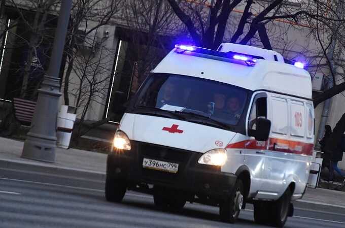 Десять человек пострадали при столкновении автобуса и грузовика в России