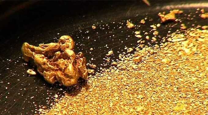Тайные узлы бизнеса: Продажа «Терней золото» за 1,2 миллиарда рублей компании «Медоед»