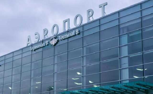 Пьяный москвич устроил дебош в аэропорту и разбил стеклянную дверь