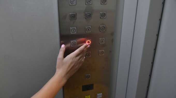 Зажатый лифтом поводок едва не задушил собаку в воронежской многоэтажке