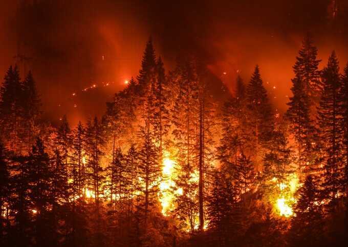 Лесные пожары охватили регион Вальпараисо в Чили