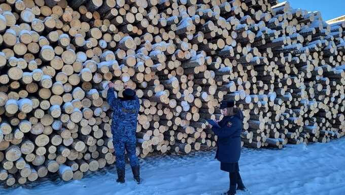 На севере Томской области за долг в 164 миллиона арестовано имущество лесозаготовителя