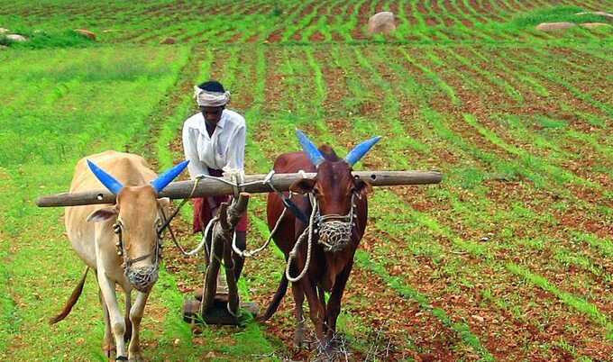 Фермеры в Индии объявили о старте общенациональной забастовки