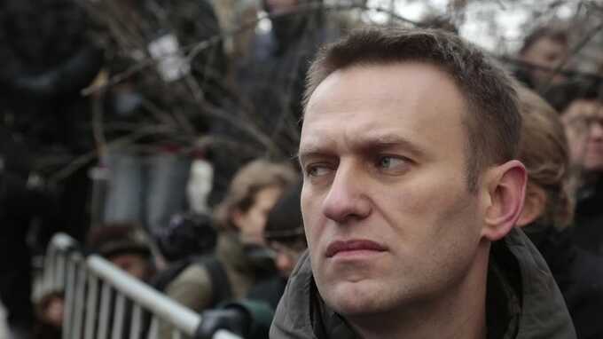 Прошлой ночью Борисовское кладбище в Москве начали готовить к похоронам Навального