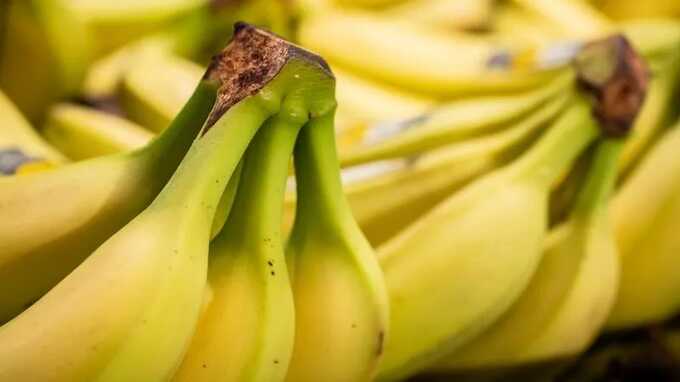 11 кг кокаина, спрятанных в бананы, привезли в Петербург