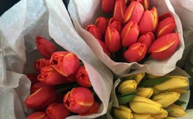 Во Владивостоке продавцы тюльпанов устроили драку