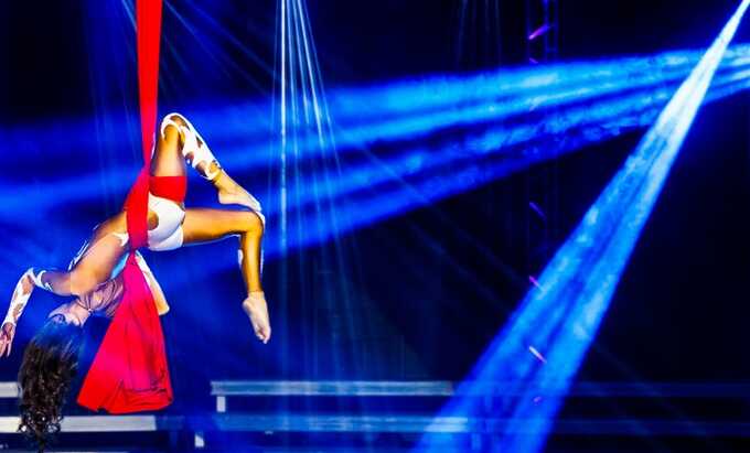 В цирке Новосибирска гимнастка сорвалась с высоты во время исполнения трюка