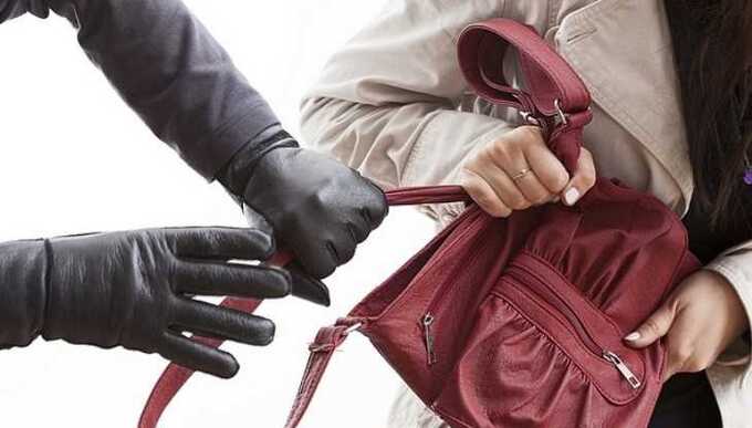 В Нижегородской области серийный вор напал на женщину и украл у неё сумку