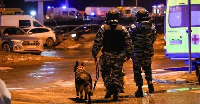 В Путилково продолжается следствие по делу о теракте в 