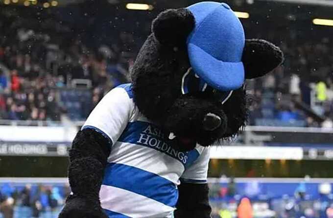 Футбольный клуб в Англии уволил кота, исполнявшего роль маскота