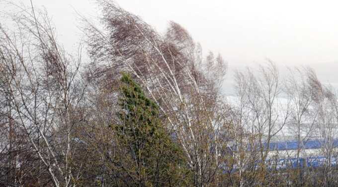 Пыльные бури обрушились на Иркутскую область