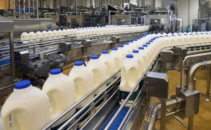 СМИ сообщили о риске сокращения производства молочной продукции