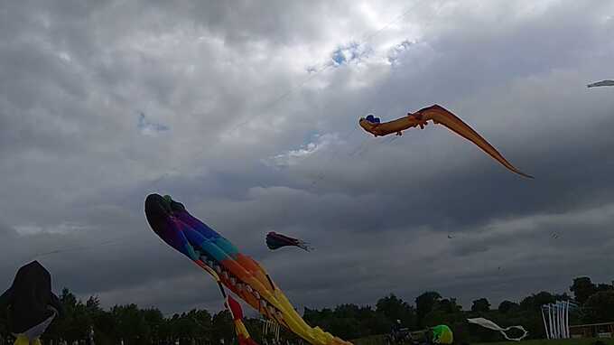 ЧП на фестивале воздушных змеев в Царицыно: летательные аппараты упали на зрителей