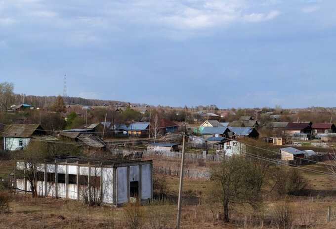 Росстат прервал курганский «рывок Шумкова в АПК». За 5 лет потеряны сотни тысяч гектаров и десятки предприятий
